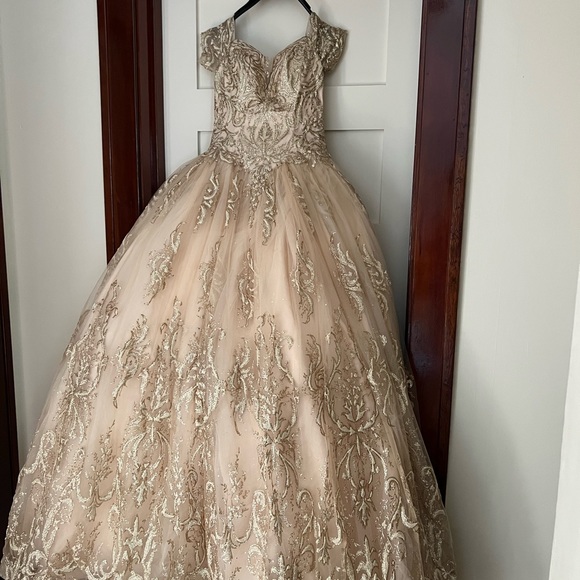 Prom Gown, Quinceañera Gown, Wedding Gown, Cosplay Gown or Ball Gown - Picture 10 of 14